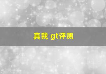 真我 gt评测